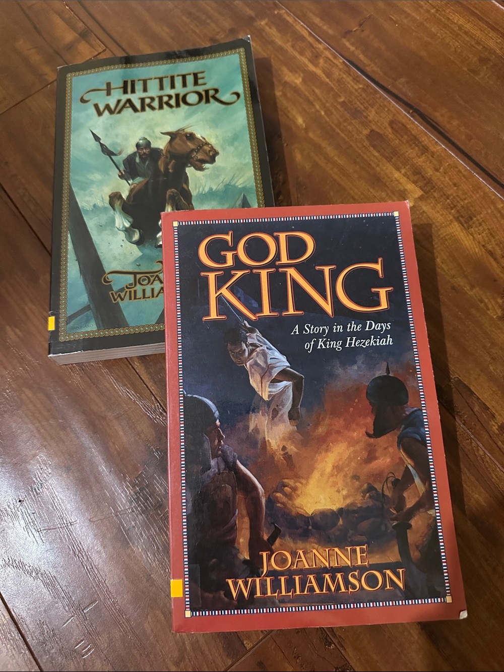 Joanne Williamson 2 Books God King Hittite Warrior Biblical History Homeschool